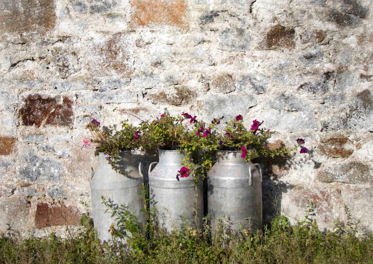 Bramble Cottage Rathfriland Extérieur photo